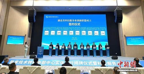 信息技術咨詢服務助力創新驅動發展 國家技術轉移中部中心在武漢揭牌