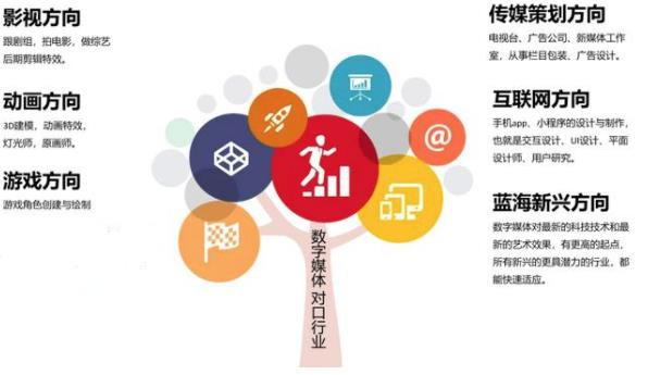 數(shù)字媒體藝術(shù)專業(yè)與數(shù)字廣告制作 職業(yè)前景與發(fā)展路徑
